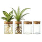 Glass Plant Propagation Stations for Plants, Propagation Flower Vases Set