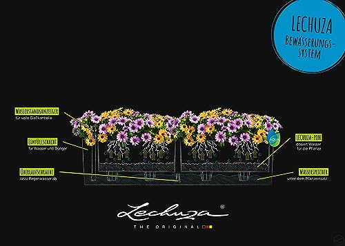 Lechuza BALCONERA Color 80 Nutmeg, Self-Watering Window Box (Railing Planter), H7.5 L31.5 W7.5 in - color: Nutmeg Matte, size: 80 cm, style: 80