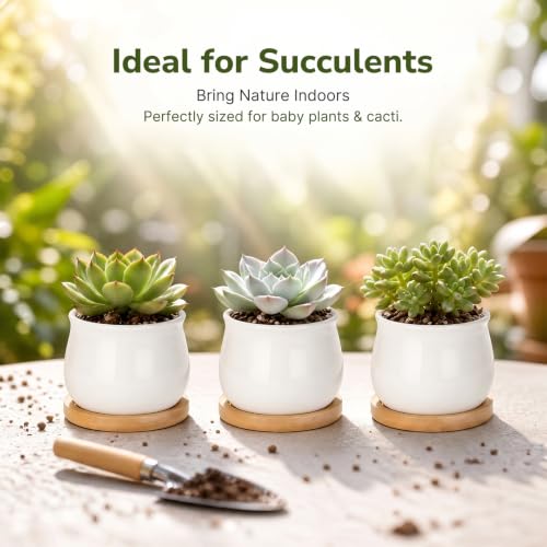 ZOUTOG 12 Pack 2.6" Mini Ceramic Succulent Pots with Drainage Hole - size: 2.6inch