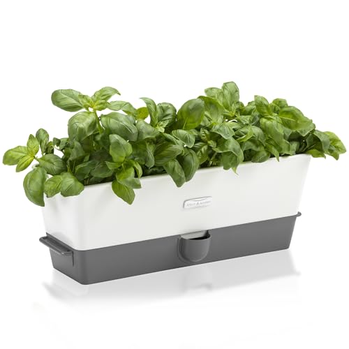 Cole & Mason Burwell Self-Watering Potted Herb Keeper - size: Triple Fresh Herb Keeper