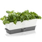 Cole & Mason Burwell Self-Watering Potted Herb Keeper - size: Triple Fresh Herb Keeper