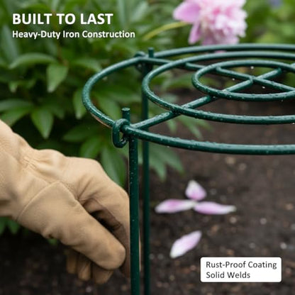 DAYUMKOU 8 Pack Peony Cages and Supports, 14" D x 24" H - size: 8pc 14"x24"