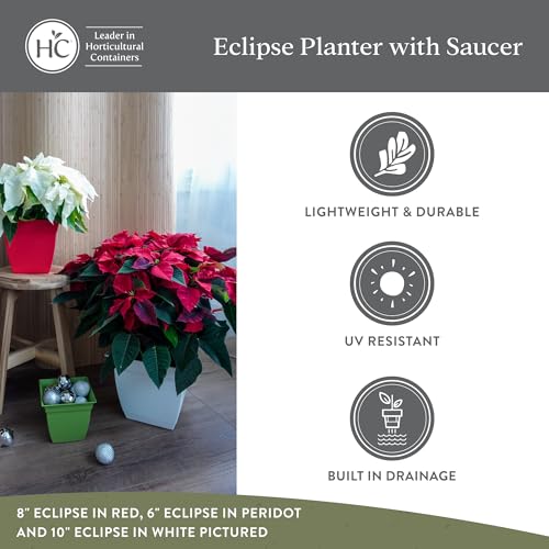 The HC Companies Eclipse Square Planter Pot, 12 Inch, Clay, 2-Pack - color: Clay, size: 12", style: Pack of 2