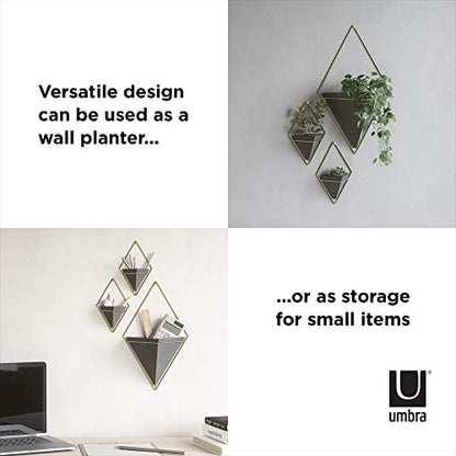 Umbra Trigg Hanging Planter for Small Plants, Set of 2, Small, Black/Brass - color: Black/Brass, size: Small