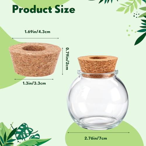 12 Pack Glass Plant Propagation Stations, Spherical - style: Spherical