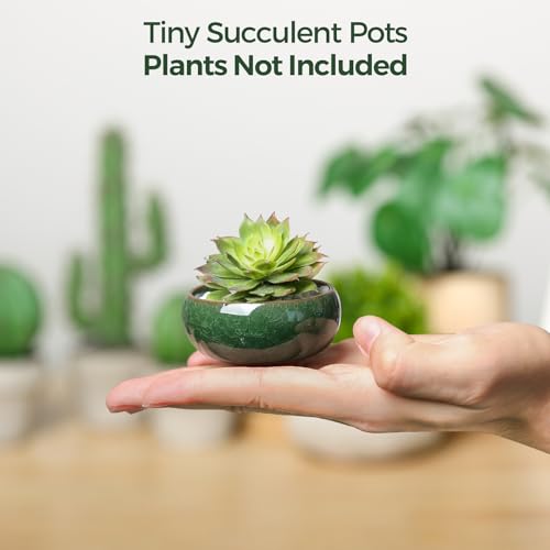 T4U Mini Succulent Pots, Small Shallow Ceramic Pots, Retro Gift Set of 12 - size: Small