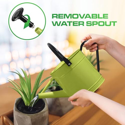 Plexon Metal Watering Can Outdoor 1 Gallon, Flower Plant Gardening Garden Large Green Watering Can Pot, Galvanized Steel Handles - Removable Spray Spout, Green - color: Green
