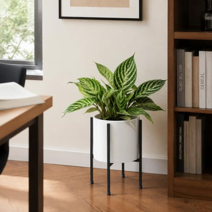 D'vine Dev Plastic Planter Pot with Metal Stand, White, 8 in, 55-D-A-1 - color: White, size: 8 Inch