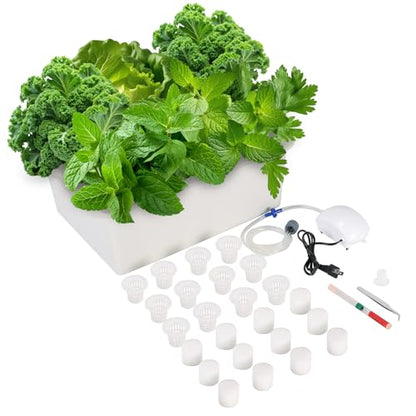 Hydroponics Growing System Kit with Air Pump, Bubble Stone