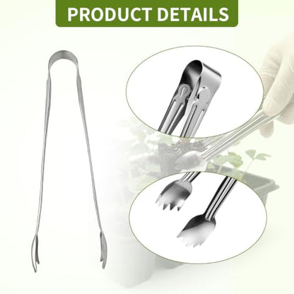 4Pcs Stainless Steel Seedling Gardening Tweezers & Clip, Long Thin Plant Transplanter for Succulent Bonsai Cactus, Seed Planting Tool for Indoor Outdoor Root Lowering Damage, Silver