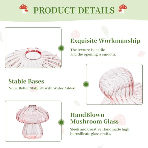 Glasseam Mushroom Plant Propagation Station: 5 Pcs Glass Mini Terrarium - color: Colorful, size: 5