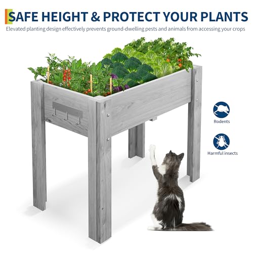 Garvee 34x18x30IN Wooden Raised Garden Bed with Legs - color: Gray, size: 34*18*30 in