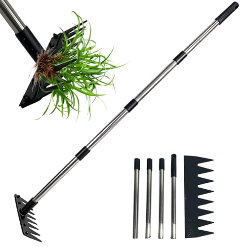 Weed Puller Tool Stainless Steel 8 Tines Manual Weeder Tool with Adjustable Length Handle, Weeder Rakes for for Yard, Patio, Lawn and Garden - size: 8 TINES
