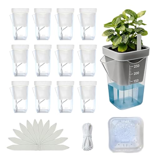 12 Pack 2.5 Inch Clear Self Watering Pots for Indoor Plants