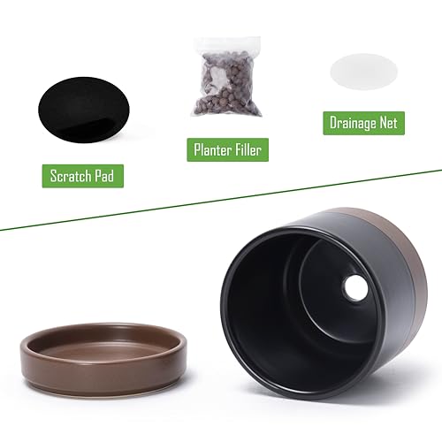 D'vine Dev 4-Pack Ceramic Pots with Saucers, Black/Tan, 4.7 in, 94-X-B-7 - color: Black/Speckled Tan, size: 4.7 Inch