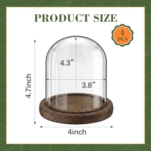 Suclain 4Pc Glass Dome Cloche with Wood Base, Brown, 4.3" X 3.8" - color: Brown, size: 4.3" X 3.8"