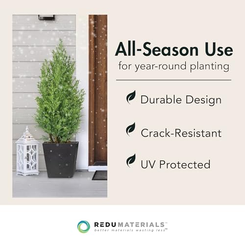 Tierra Verde Sonata Self-Watering Square Planter, Black, Small, 2-Pack - size: Small