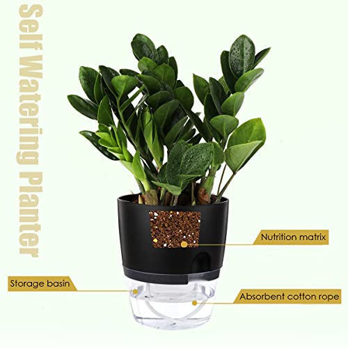 Vanavazon 6 Inch Self Watering Pots for Indoor Plants African Violet Pots - color: Black