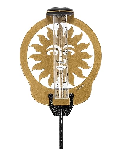 SWEN Products Sun Rain Gauge
