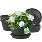 6 Pack 10 inch Plant Pot, Round Plastic Plant Pots with Drainage Holes - color: Dark Gray, size: 10 Inch - 6Pack