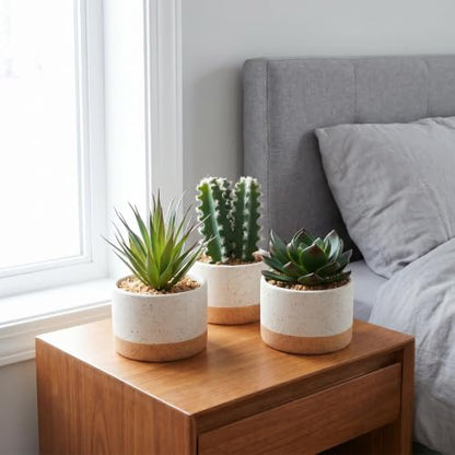 Artificial Succulent Cactus Plant Set Ceramic Flower Pot Set of 3 for Home, Office, Desk, Bedroom, Living Room Decoration