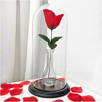 Plymor 5.5" x 13" Glass Display Dome Cloche (Black Wood Veneer Base) - color: Black Wood Veneer Base