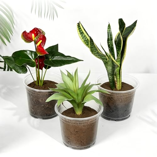 JNYONG 60 Pack 6 Inch Clear Nursery Pots with Drainage Hole - size: 6 Inch