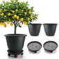 RooTrimmer 3 Pack 16 Inch Rolling Large Plant Pots - color: Black, size: 16 inch+3 trays