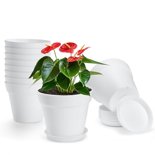 10 Pack 5 inch Plastic Plant Pots with Drainage Holes and Tray - color: White, size: 10 Pack-5in