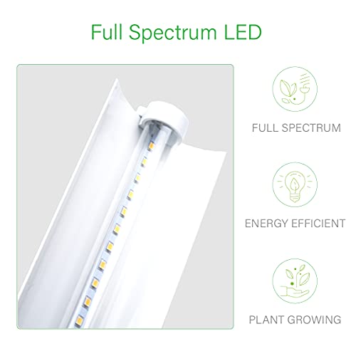 2 feet LED Grow Light Stand for Seedling,Iron Pipe Frame,with Natural White Light Full Spectrum LED Plant Growing Lamp, Light Height Ajustable,with Timer Outlet - style: Iron Pipe 2 Feet