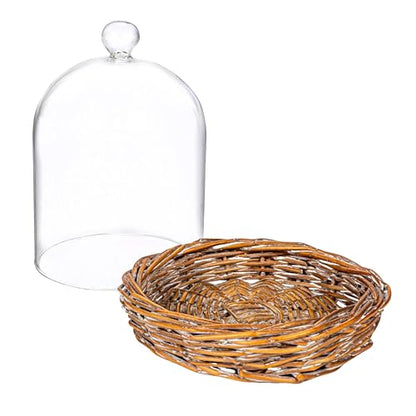 Creative Co-Op Round Glass Cloche with Woven Willow Base, Clear