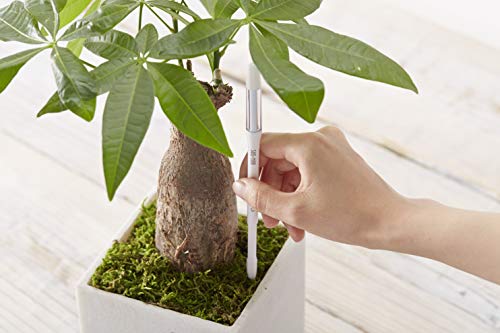 Sustee Aquameter, Set of 5, Plant Soil Moisture Sensor (White, Small)