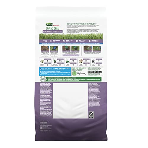 Scotts Turf Builder Grass Seed Perennial Ryegrass Mix, 5.6 lbs. - size: 5.6 lb.