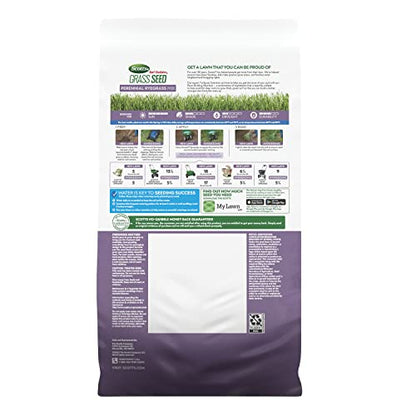 Scotts Turf Builder Grass Seed Perennial Ryegrass Mix, 5.6 lbs. - size: 5.6 lb.