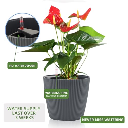 Dexceder 9x8 Self Watering Planters Indoor (2 Pack, Gray) - color: Gray, size: 9x8