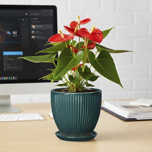Ceramic Flower Pots, 6 Inch Planters with Saucer, Blackish Gree - color: Blackish Green, size: 6 Inch