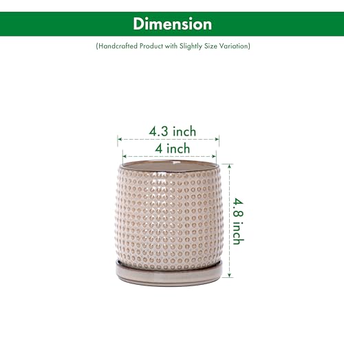 D'vine Dev Beaded Ceramic Pot with Saucer, 4 in, Light Brown, 27-C-Z-4 - color: Light Brown, size: 4.3 Inch