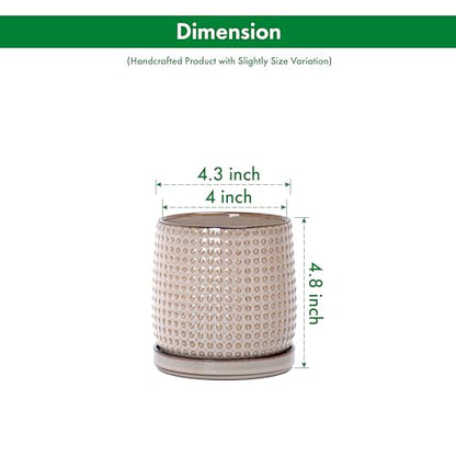 D'vine Dev Beaded Ceramic Pot with Saucer, 4 in, Light Brown, 27-C-Z-4 - color: Light Brown, size: 4.3 Inch