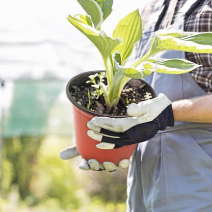 50 Pack 1 Gallon Plastic Plant Nursery Pots - size: 1 gallon--7.48inch(50pcs)