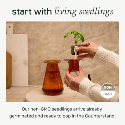 Lettuce Grow Counterstand | Hydroponic Garden Kit with LED Grow Light