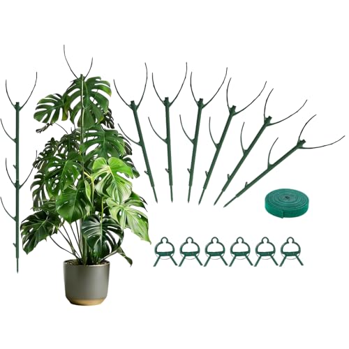 Tree Branch Plant Support Stakes – Stackable Plant Support Sticks with Clips & Velcro Tie – Natural Aesthetic Extendable Trellis for Indoor Plants, Monstera, Pot (Green-6 Pack) - color: Green-6 Pack