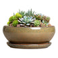 SQOWL Succulent Pots, 8 Inch Ceramic Bonsai Pots with Drainage Tray, Brown - color: Speckled-brown, size: 8 Inch
