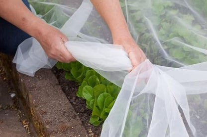 Agfabric Bird Netting 39" Hx39 W Garden Netting Insect Pest Barrier,Plant Cover Fruit Tree Netting Mesh Protection Bag with Drawstring,White - color: 1pack, size: 39"x39"