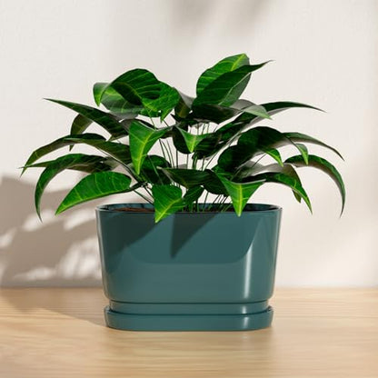 8.9" Rectangular Ceramic Planter with Drainage and Saucer, Green - color: Green, size: Medium