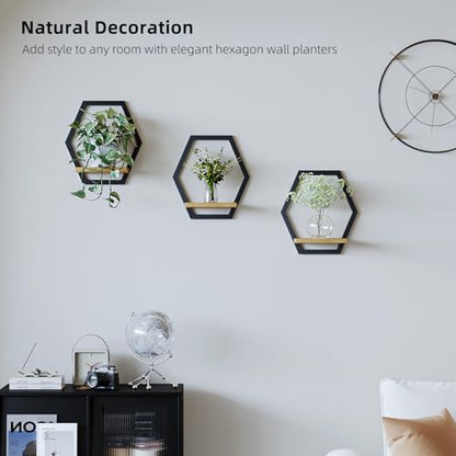 3 Pack Hexagon Wall Plant Stands, 9 Inch Wood Shelf Black - color: black