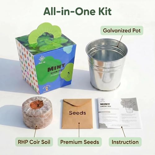 Mint Grow Kit - Indoor Herb Garden Kit with Planter, DIY Kitchen Herb Planting Kit, Grow Fresh Mint at Home for Tea, Drinks & Cooking, Beginner Friendly Gardening Gift
