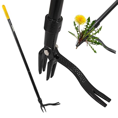 55-Inch Stand Up Weed Puller Tool, 4-Claw Steel Head Design, Long Handle for Dandelions and Crabgrass