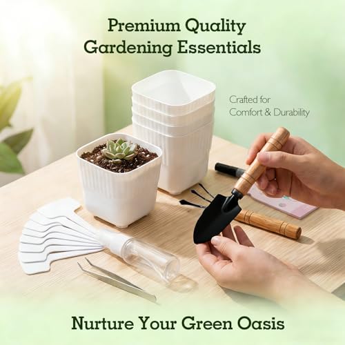 Soliseed Indoor Herb Garden Kit, Transparent Pots with Gardening Tools