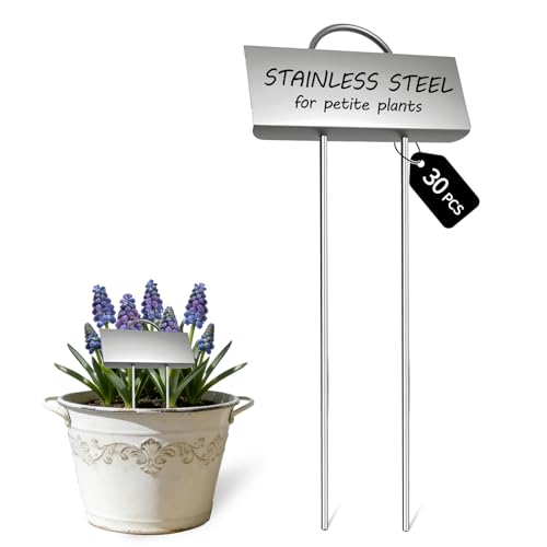 Small Size 304 Stainless Steel Plant Labels Metal Garden Plant Markers Weatherproof Stake Garden Plant Tags for Outdoor Seedling Flower (30 Pack) (Stainless Steel-2.5 Inch Width) - color: Stainless Steel-2.5 Inch Width