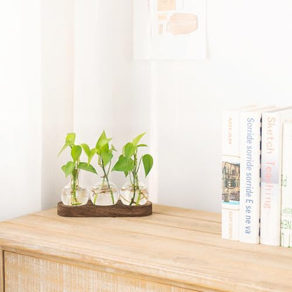 Mkono Plant Propagation Station, Desktop Glass 3 Bulb Vase Brown Wood Tray - color: Brown, size: Medium
